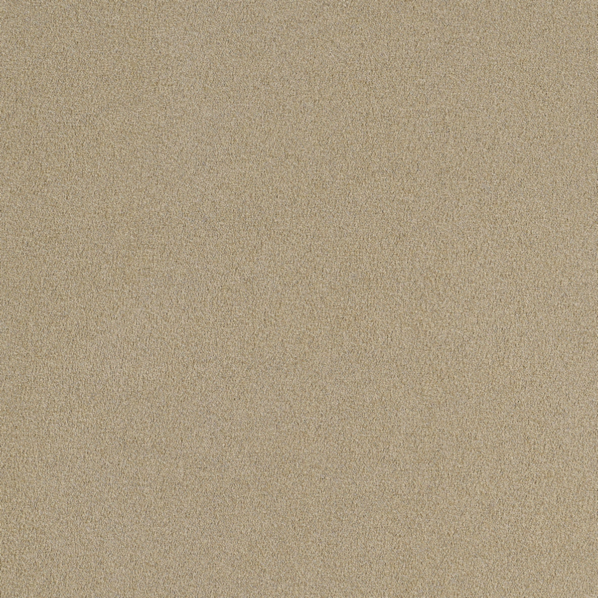 Purchase Phillip Jeffries Wallpaper - 10289, Suede Lounge - Grain 