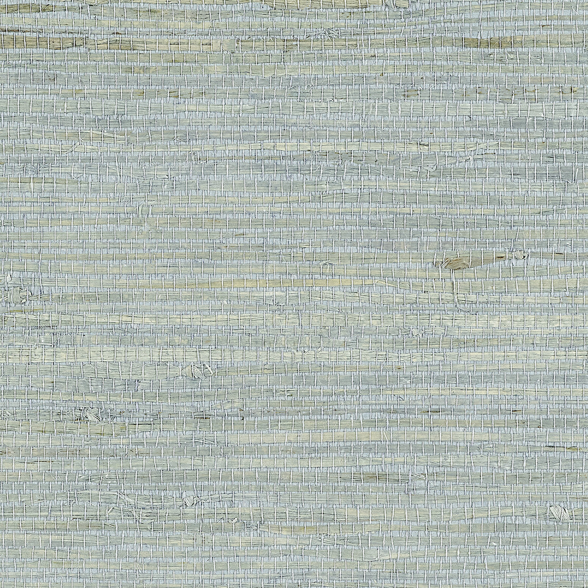 Purchase Phillip Jeffries Wallpaper - 10802, Extra Fine Arrowroot - Blue Haze 