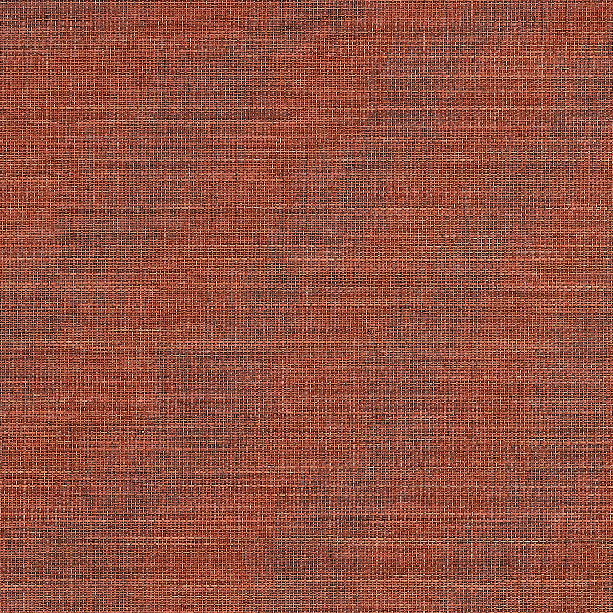 Purchase 1110 Tailored Walls Abaca Harvest Terracotta Canyons Phillip Jeffries Wallpaper