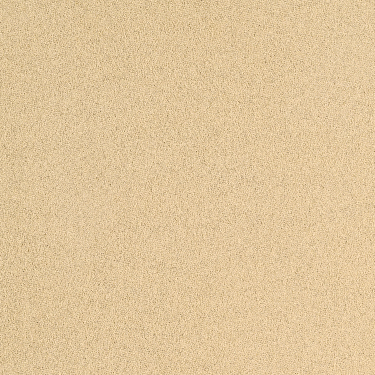Purchase 4333 Suede Lounge Vanilla Velvet Phillip Jeffries Wallpaper