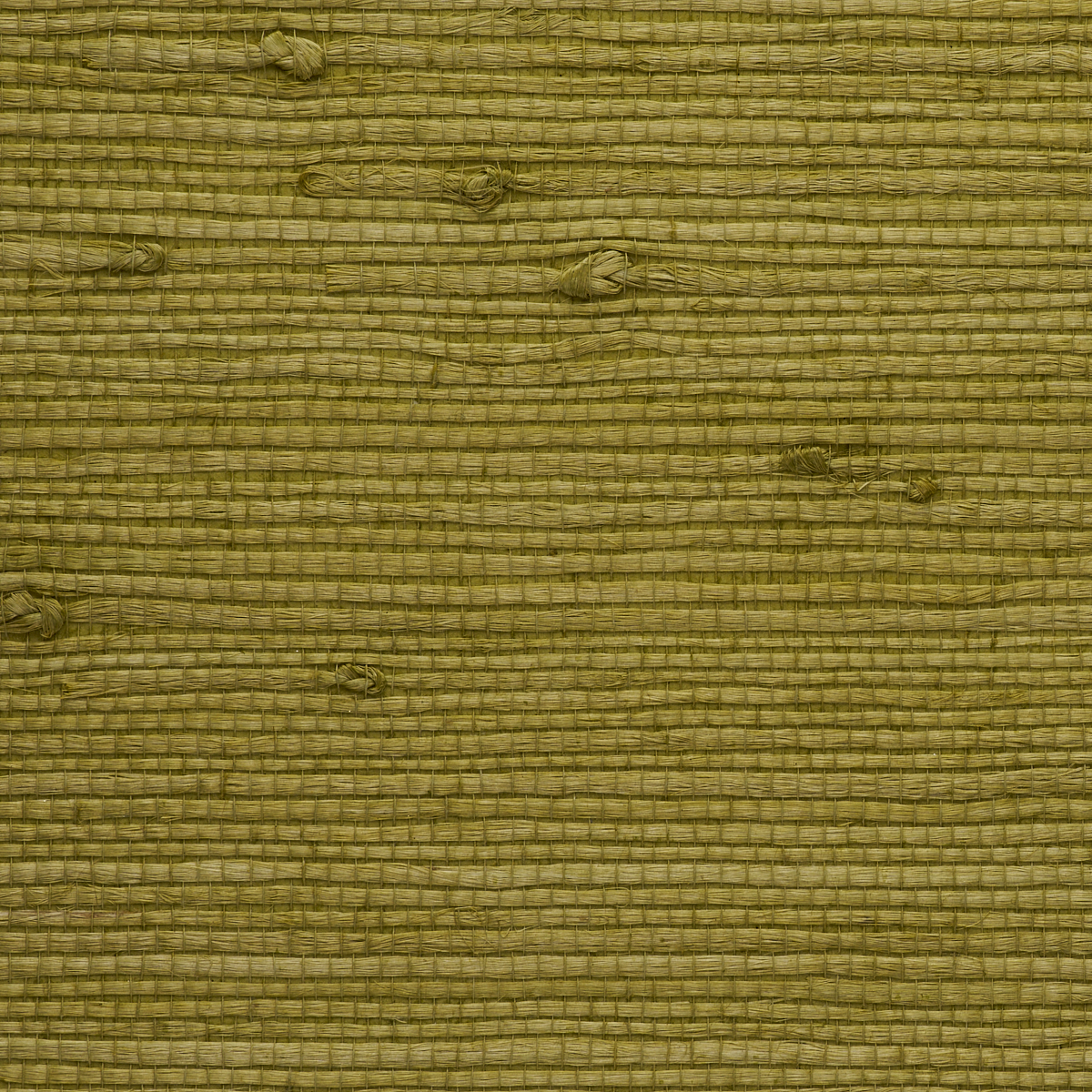 Purchase 4823 Juicy Jute Grasscloth Split Pea Phillip Jeffries Wallpaper