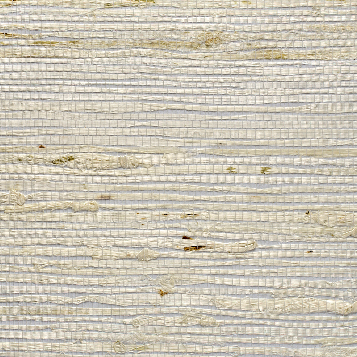 Purchase 3190 Extra Fine Arrowroot Alabaster Phillip Jeffries Wallpaper
