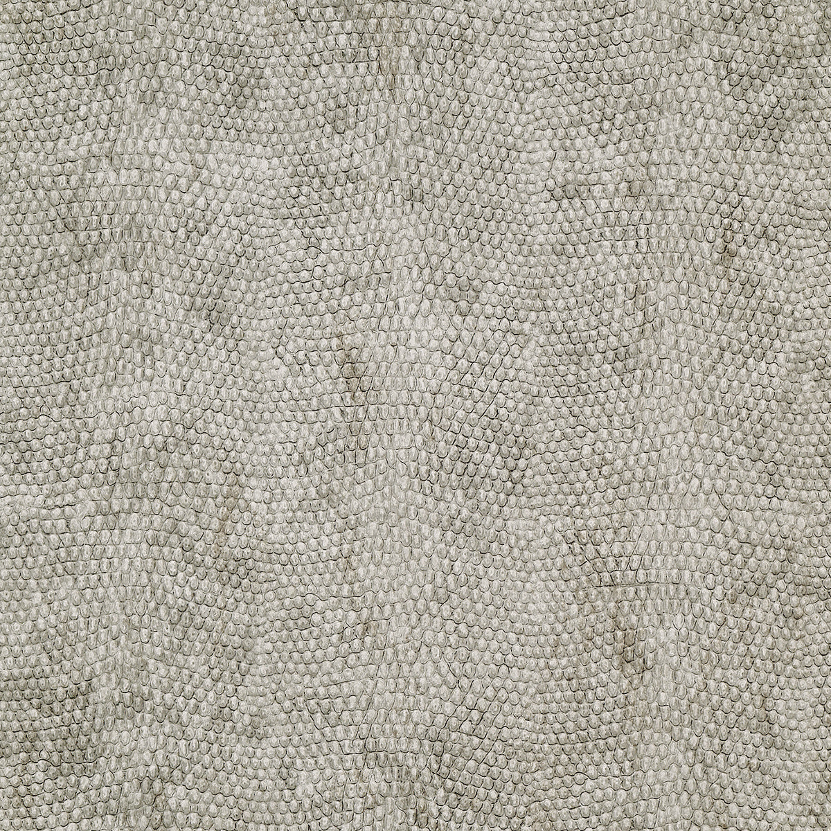Purchase 8073 Vinyl Snakeskin Upscaled Grey Grasscloth by Phillip Jeffries Wallpaper