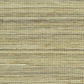 5503 | Soho Hemp Uptown Buff | Phillip Jeffries | Wallpaper