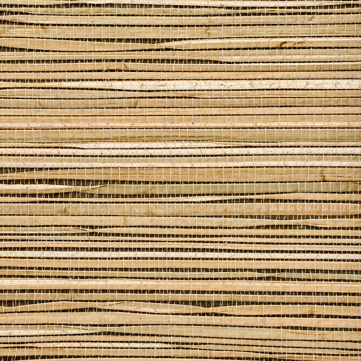 Purchase 3370 Grass Roots Generation Grey Phillip Jeffries Wallpaper