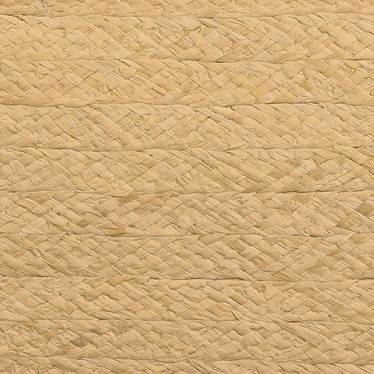 Purchase Phillip Jeffries Wallpaper - 10298, Braided Raffia - Natural Essence 