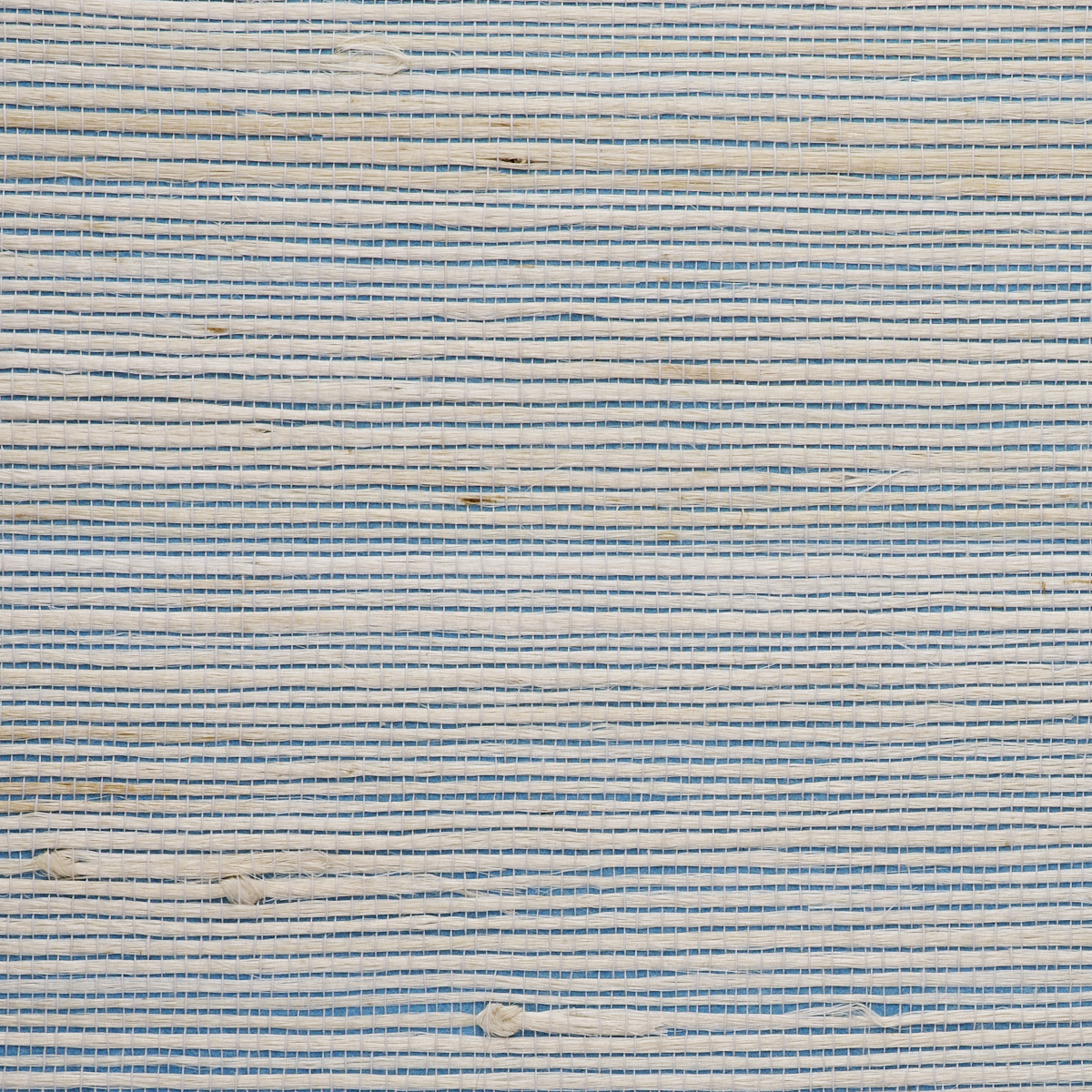 Purchase 8854 Jazzy Jute Azure Accent Phillip Jeffries Wallpaper