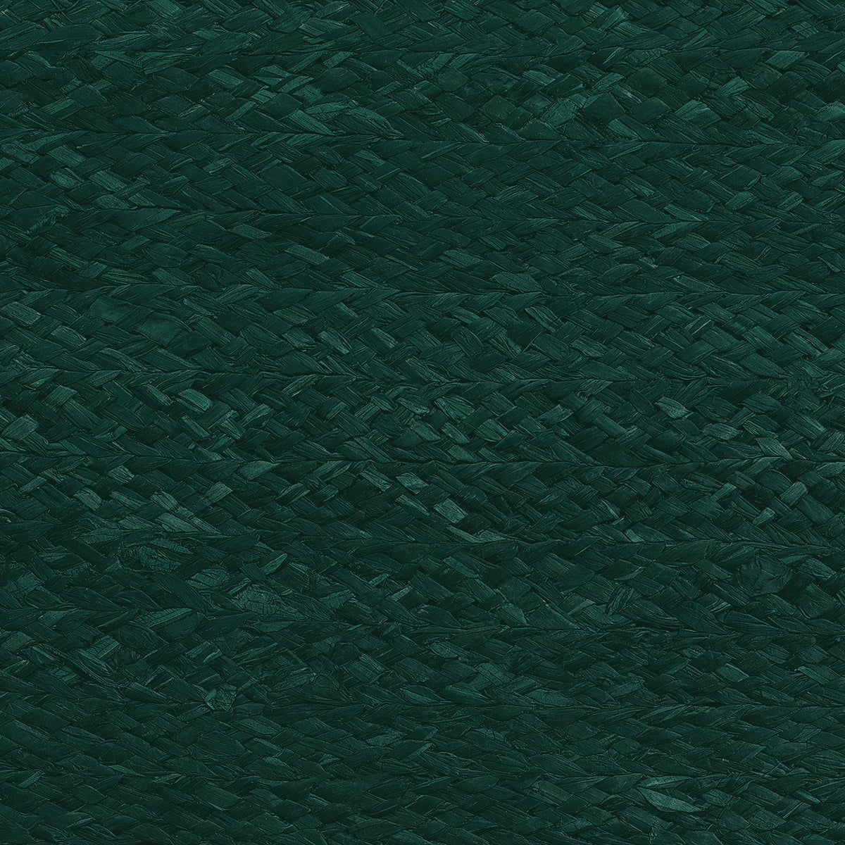 Purchase Phillip Jeffries Wallpaper - 10301, Braided Raffia - Pine Serenity 
