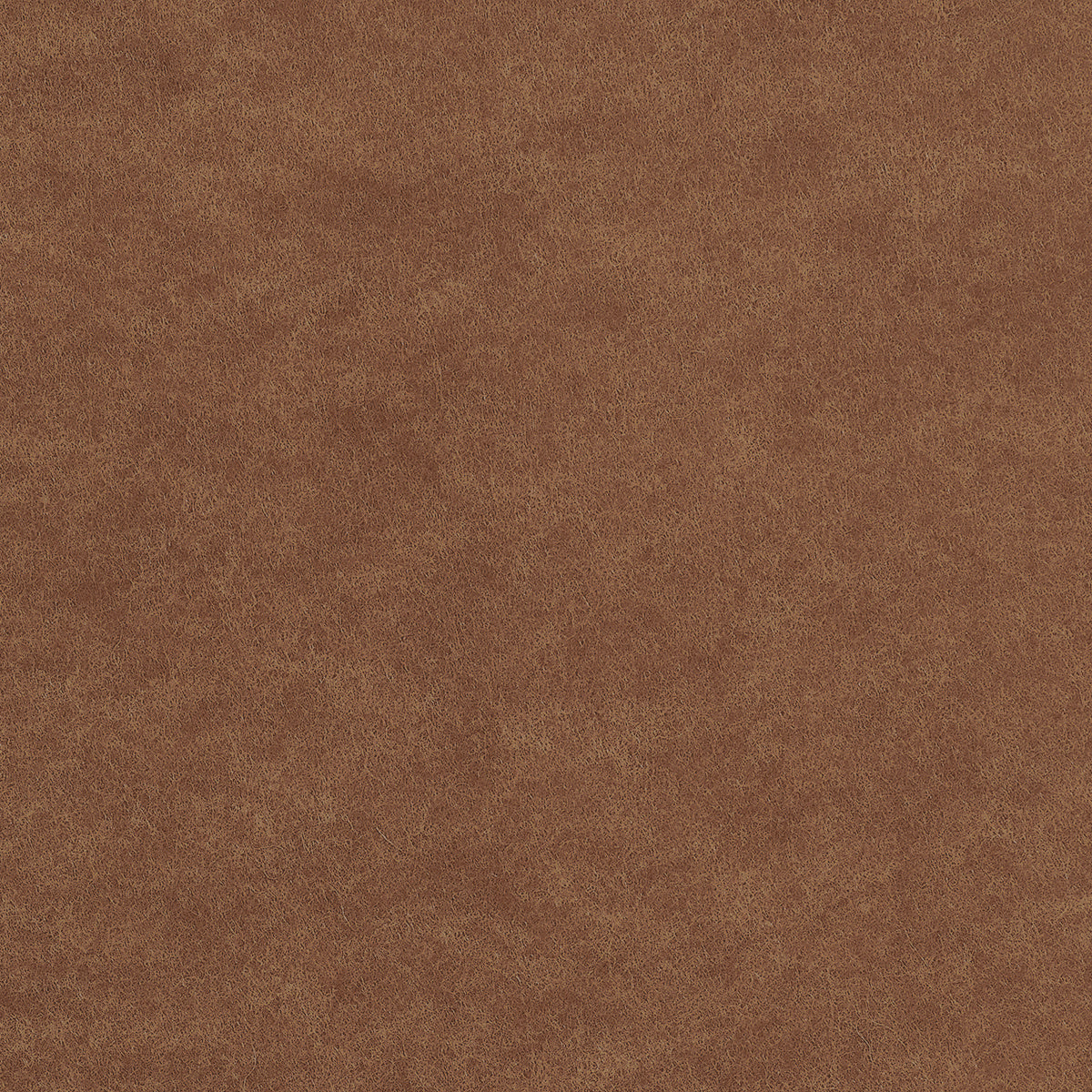 Purchase 4437 Savile Suiting Solids Mayfair Brown Phillip Jeffries Wallpaper