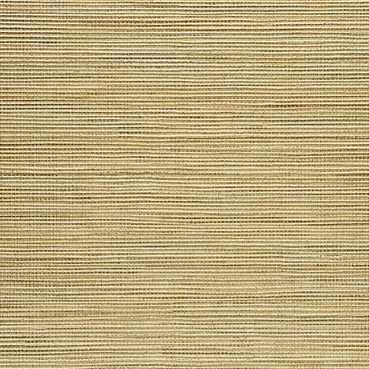Purchase 3786 Vinyl Glam Grass Rain Phillip Jeffries Wallpaper