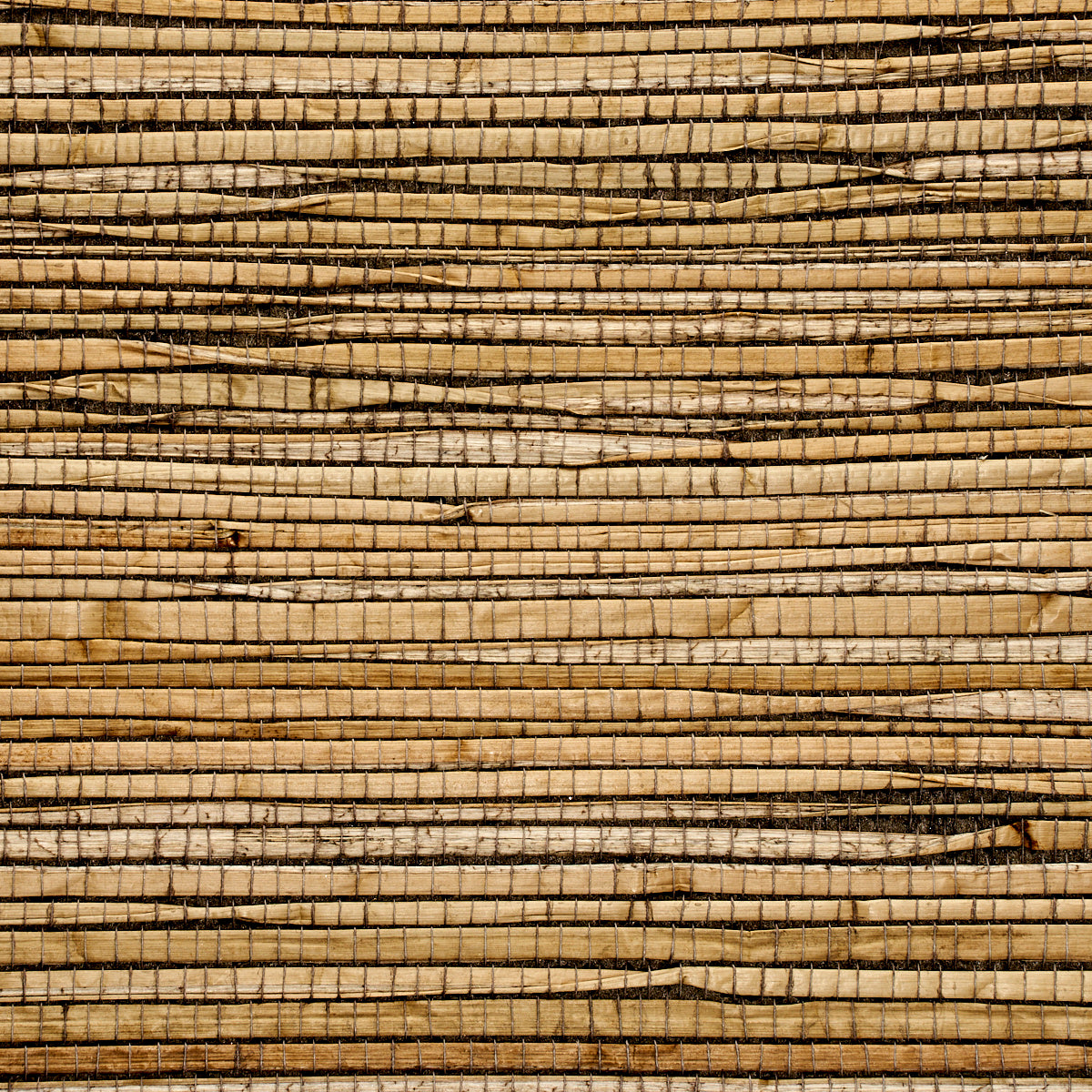 Purchase 3388 Grass Roots Jeffries Grey Phillip Jeffries Wallpaper