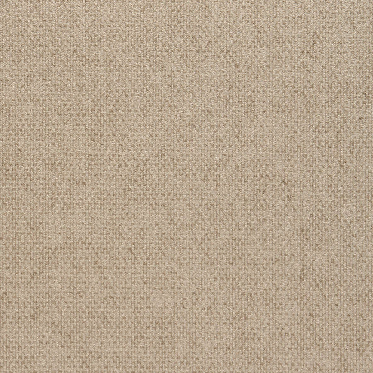 Purchase 8151 Vinyl Tweed II Bagpipe Beige Phillip Jeffries Wallpaper