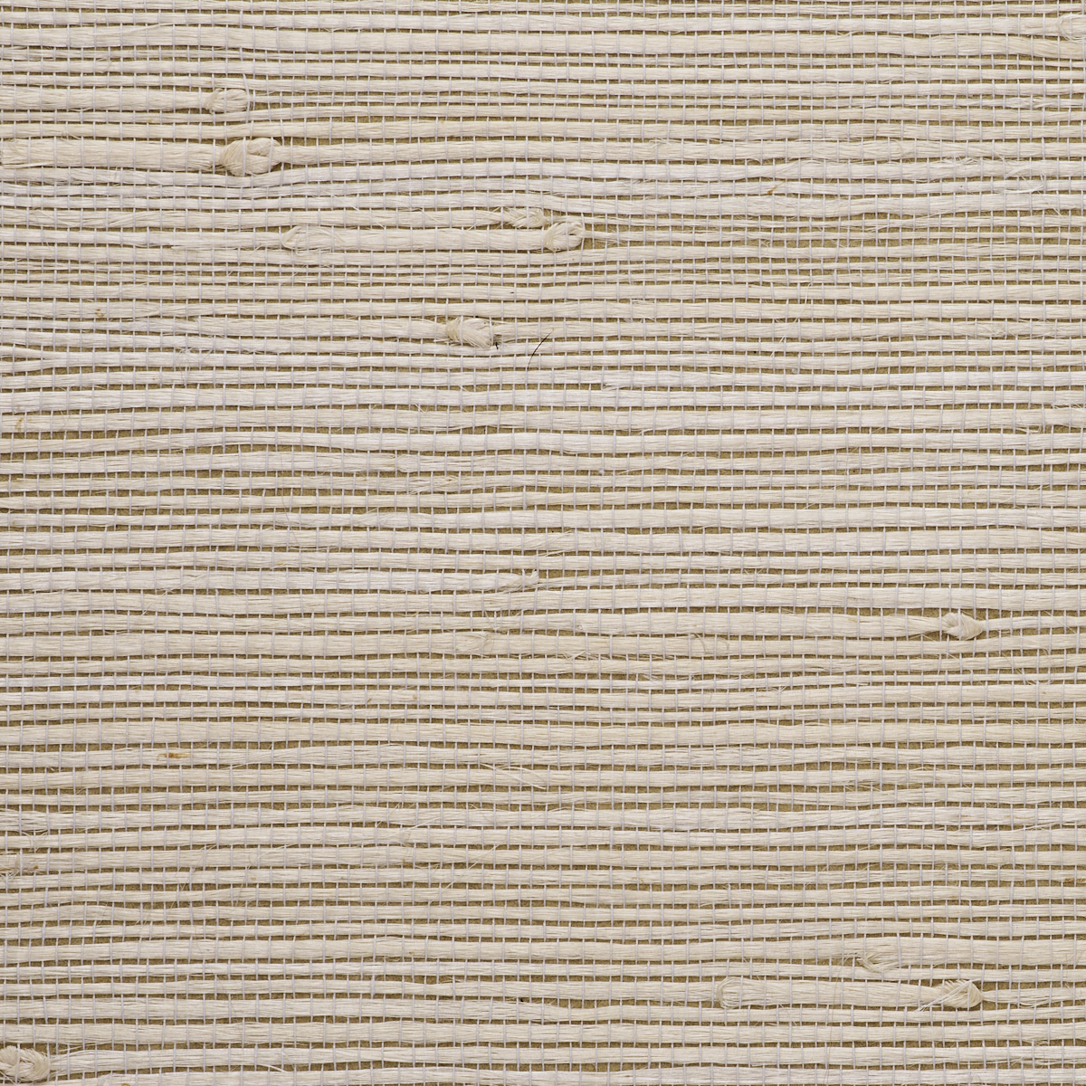Purchase 8846 Jazzy Jute Ballad Beige Phillip Jeffries Wallpaper
