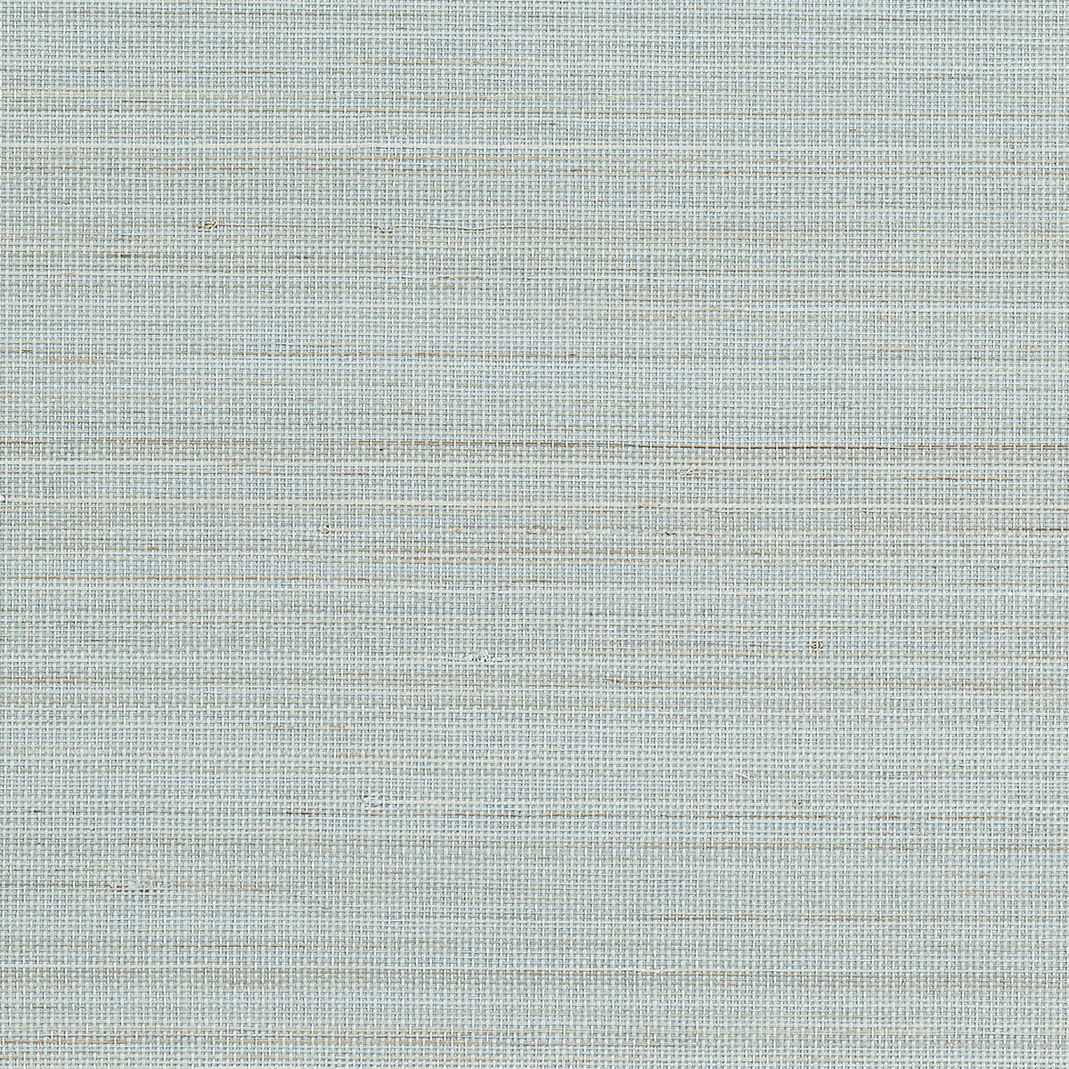 Purchase Phillip Jeffries Wallpaper - 23703, Abaca Harvest - Ashen Aura 