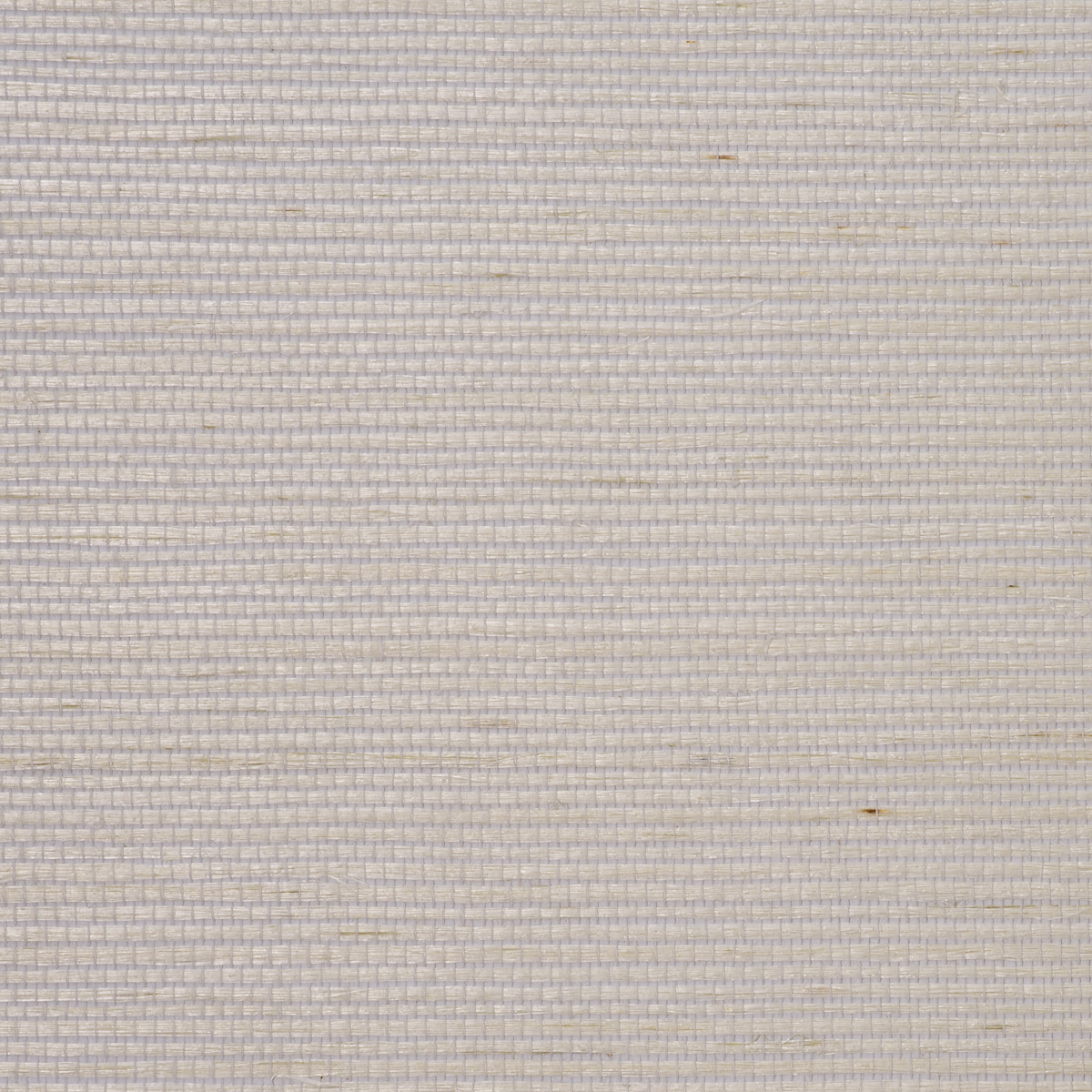 Purchase 5201 Manila Hemp White Phillip Jeffries Wallpaper