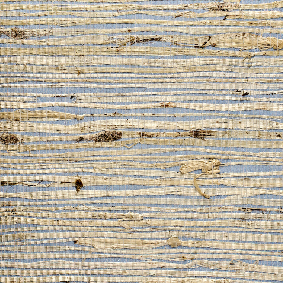 Purchase 3840 Extra Fine Arrowroot New Hope Phillip Jeffries Wallpaper