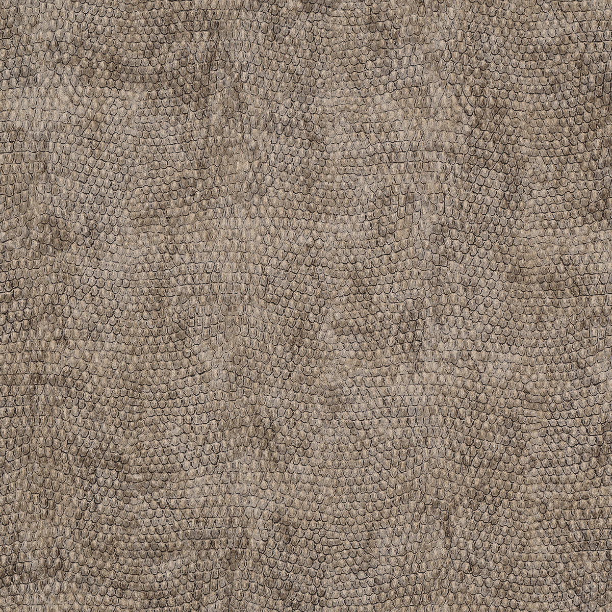 Purchase 8071 Vinyl Snakeskin Buttermilk Racer Grasscloth by Phillip Jeffries Wallpaper