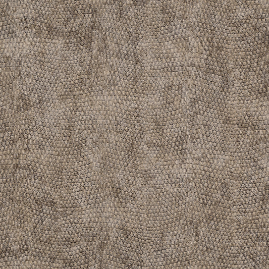 Purchase 8071 Vinyl Snakeskin Buttermilk Racer Grasscloth by Phillip Jeffries Wallpaper