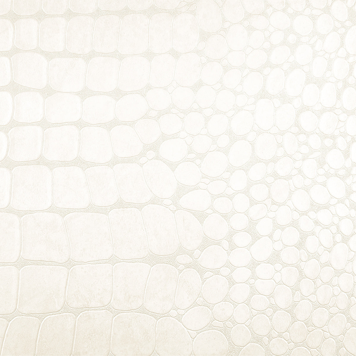Purchase Phillip Jeffries Wallpaper - 10209, Vinyl Crocodile Rock - Webbed White 