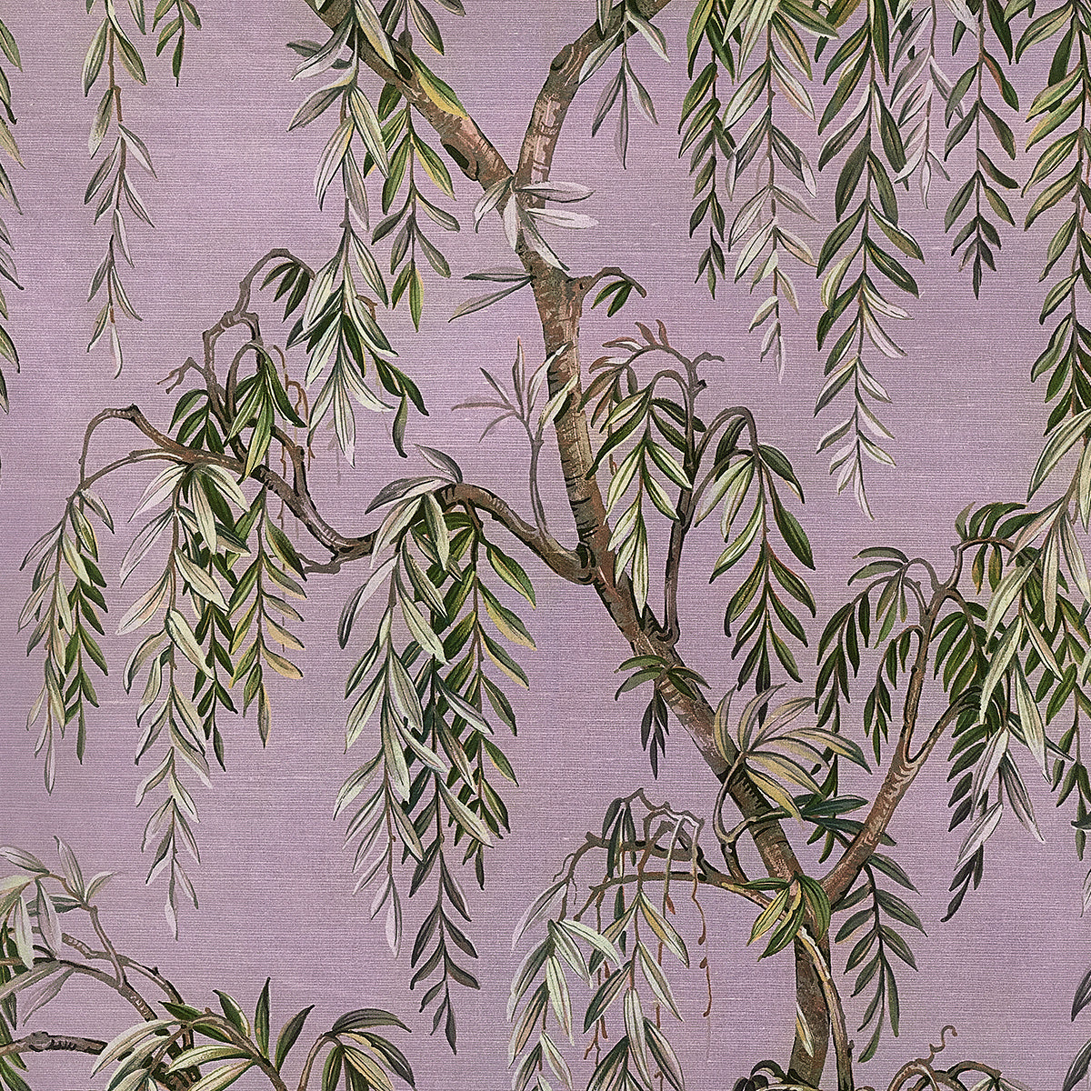 Purchase Phillip Jeffries Wallpaper - 27802, Whispering Willows - Lush Lilac 
