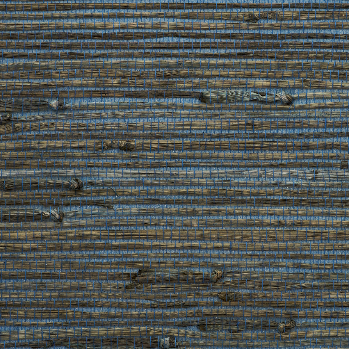 Purchase 9037 Gallant Grasses Bird Song Phillip Jeffries