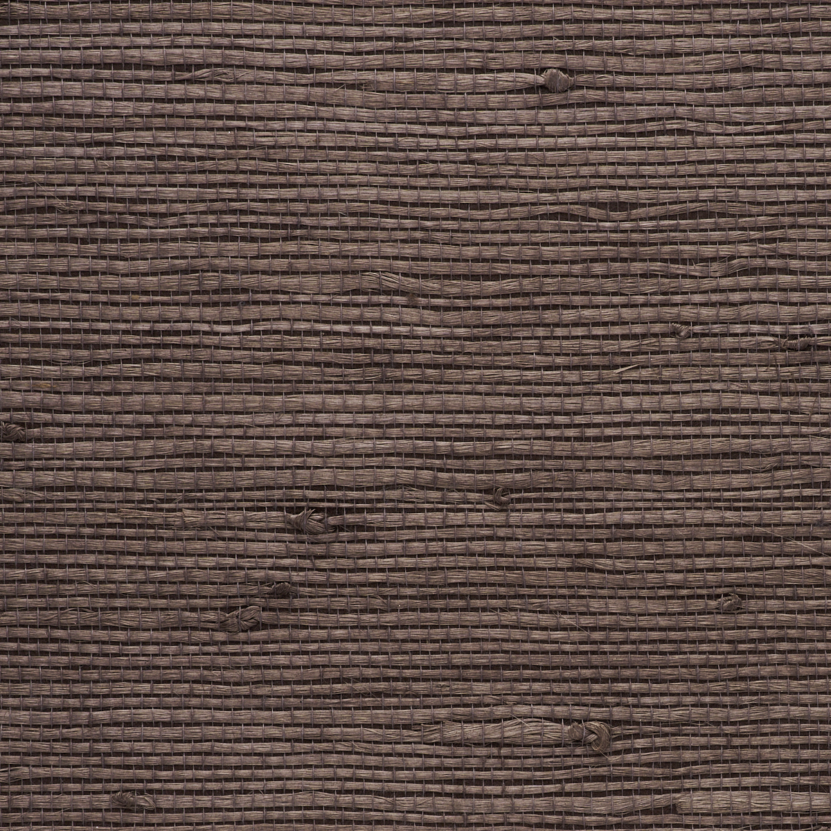 Purchase 9262 Juicy Jute III Sea Otter Phillip Jeffries Wallpaper