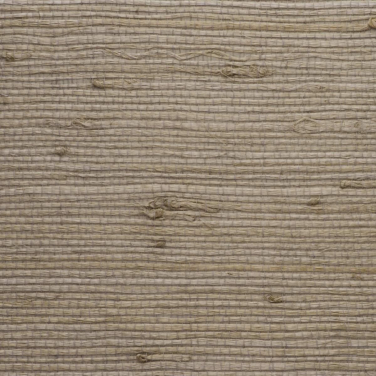 Purchase 9247 Juicy Jute III Buckwheat Bundle Phillip Jeffries Wallpaper