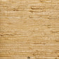 Purchase 072 Extra Fine Arrowroot Maple Phillip Jeffries