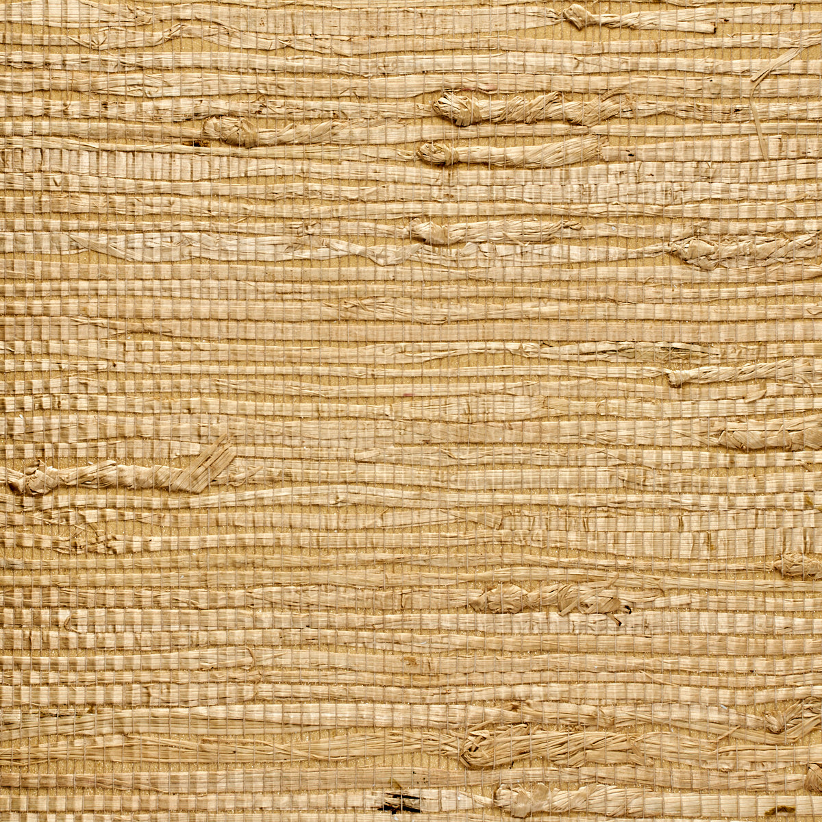 Purchase 072 Extra Fine Arrowroot Maple Phillip Jeffries