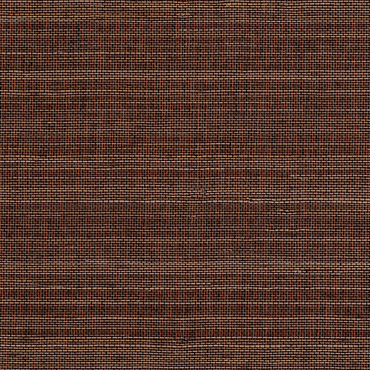 Purchase Phillip Jeffries Wallpaper - 10772, Horsehair - Bay Brown 
