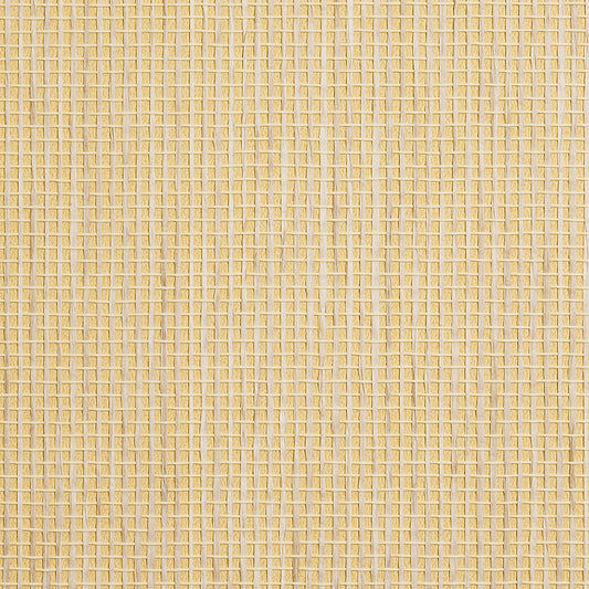 Purchase Phillip Jeffries Wallpaper - 9884, Coastal Weave - Midday Sun 