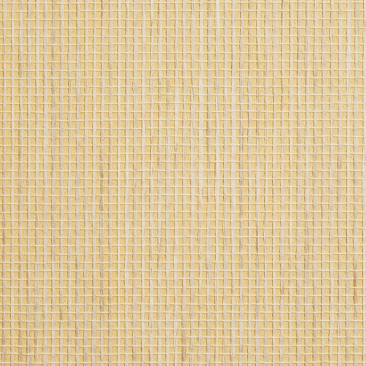 Purchase Phillip Jeffries Wallpaper - 9884, Coastal Weave - Midday Sun 