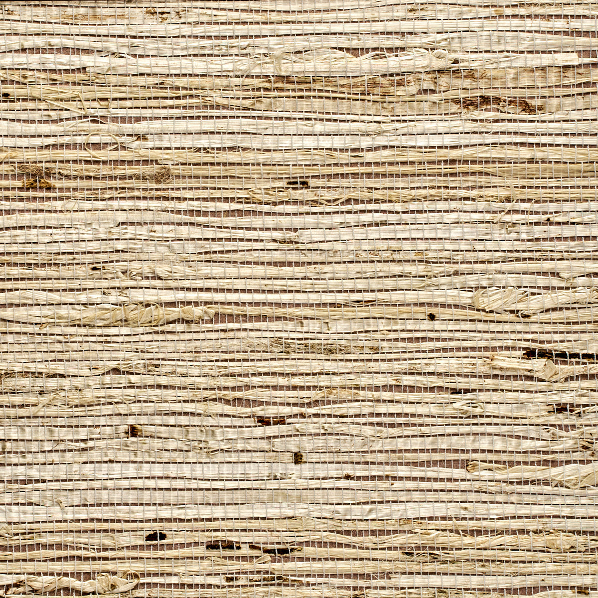 Purchase 3837 Extra Fine Arrowroot Mineral Phillip Jeffries Wallpaper