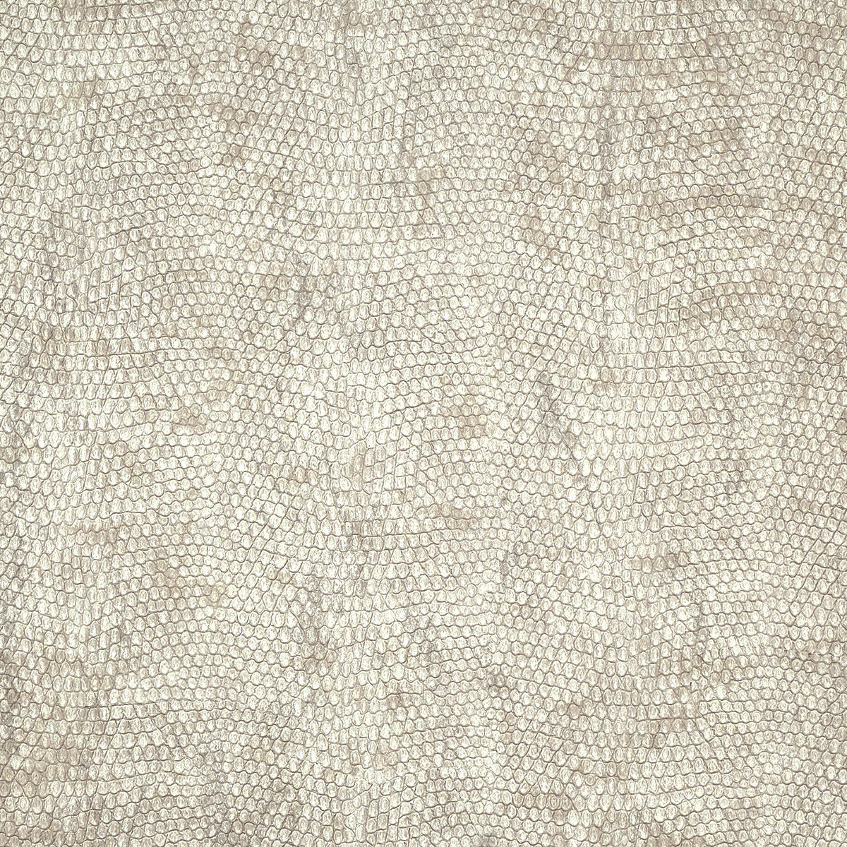 Purchase Phillip Jeffries Wallpaper - 10248, Vinyl Snakeskin - Rattlesnake 