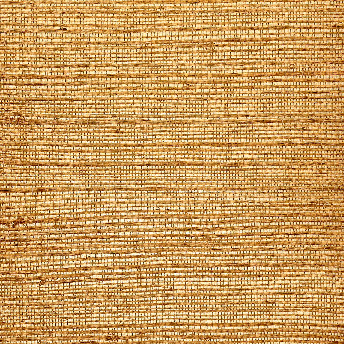 Purchase 1944 Glam Grass II Refined Gold Phillip Jeffries Wallpaper