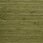 Purchase 9259 Juicy Jute III Garden Green Phillip Jeffries Wallpaper
