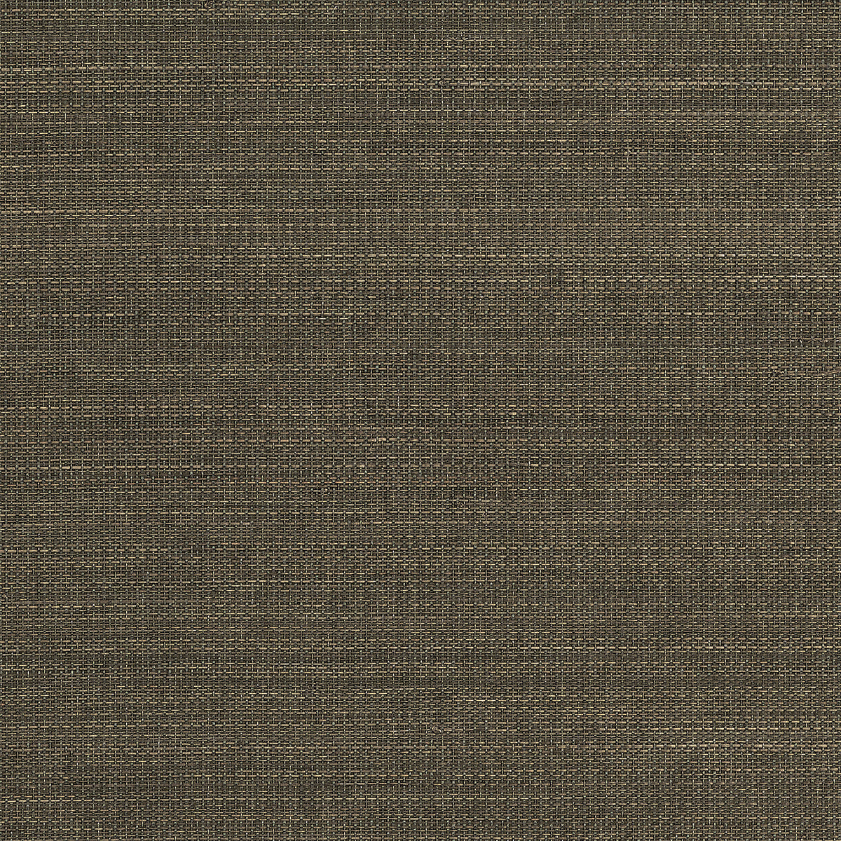 Purchase 1112 Tailored Walls Abaca Harvest Cactus Green Phillip Jeffries Wallpaper