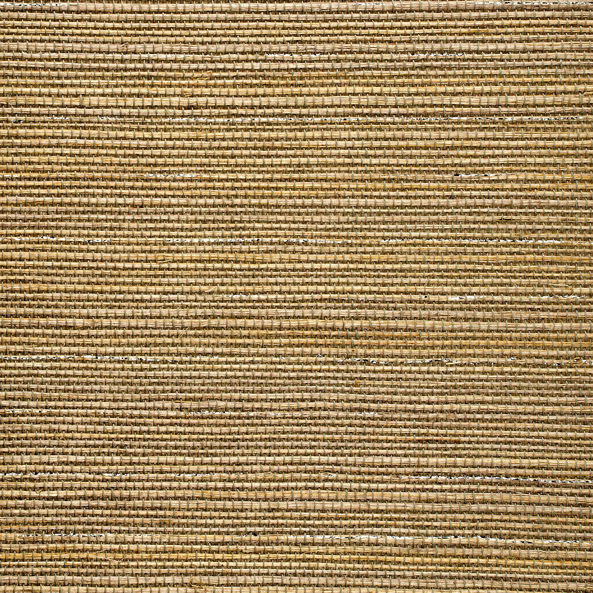 Purchase 5224 Glam Grass Windsor Grey Phillip Jeffries Wallpaper