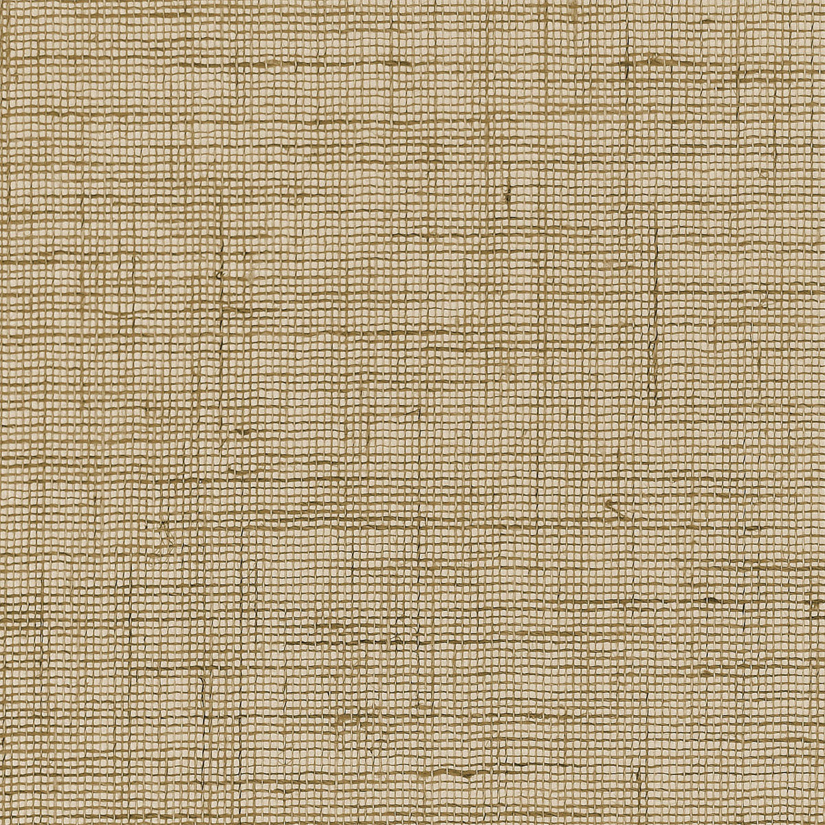 Purchase 5558 Seaside Linen Sun-kissed Phillip Jeffries