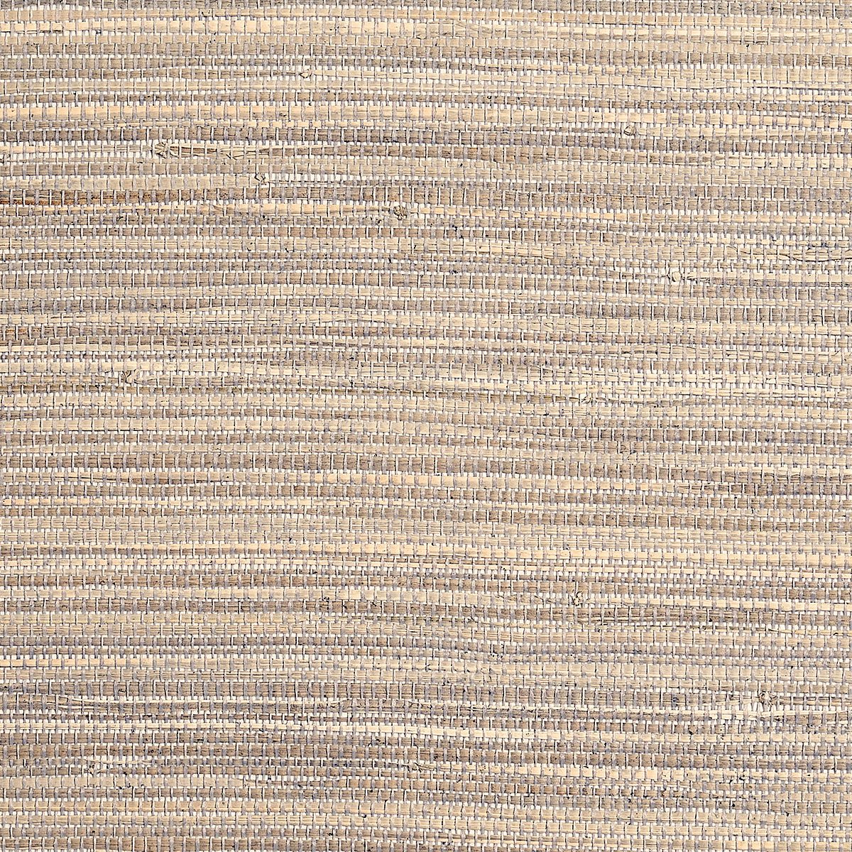 Purchase Phillip Jeffries Wallpaper - 9972, Coastline Grass - Saltwater 