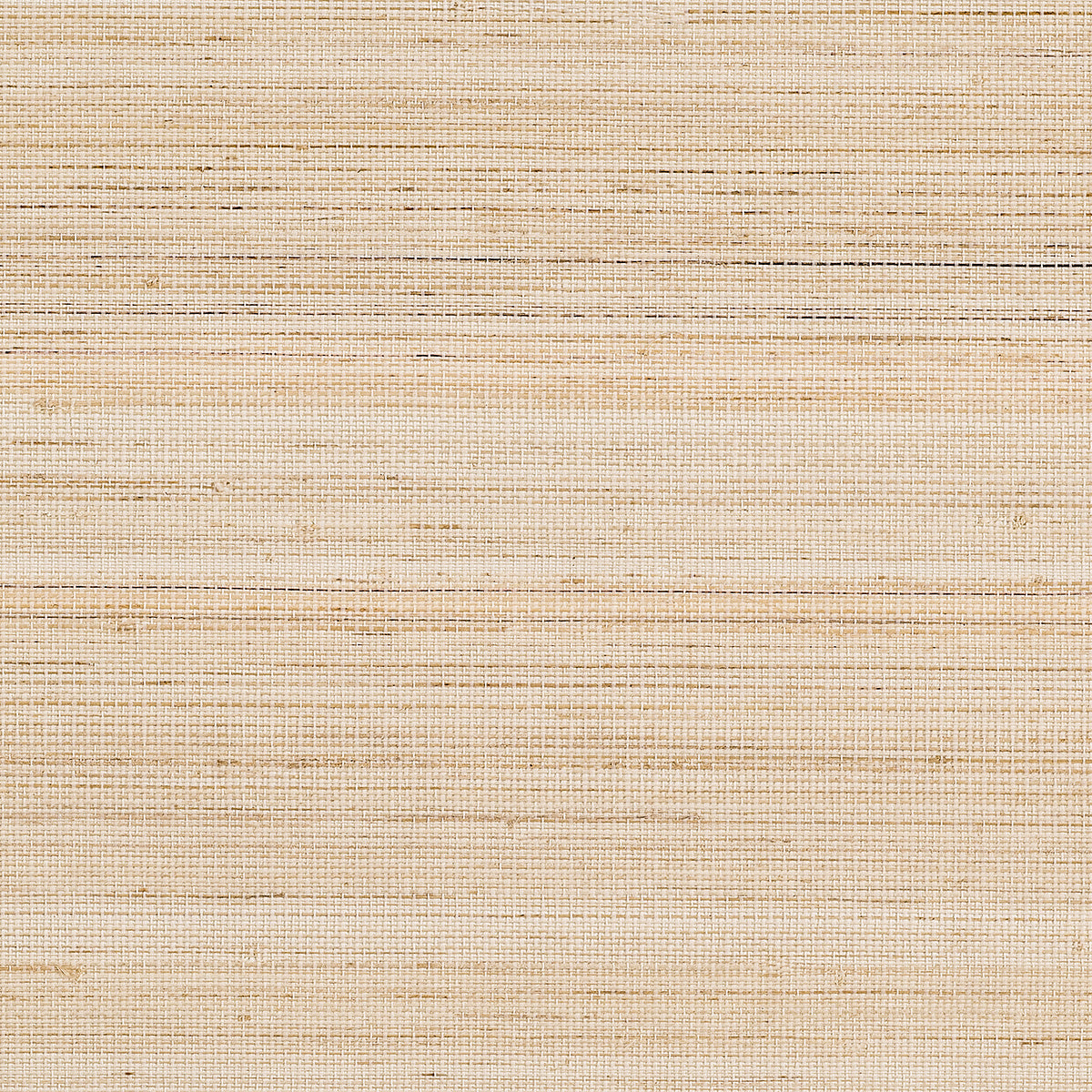 Purchase 1105 Tailored Walls Abaca Harvest Milkweed Phillip Jeffries Wallpaper