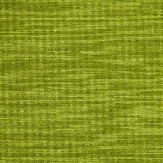 Purchase Phillip Jeffries Wallpaper - 9742, Pj Color Splash ™ - Peridot 