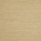Purchase Phillip Jeffries Wallpaper - 9737, Pj Color Splash ™ - Barley 