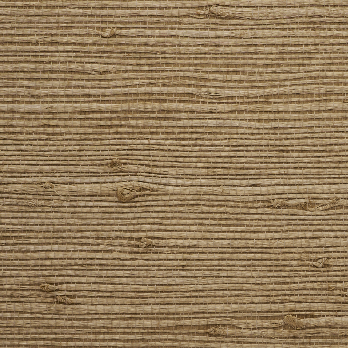 Purchase 1977 Seagrass Grasscloth Spring Flax Phillip Jeffries Wallpaper