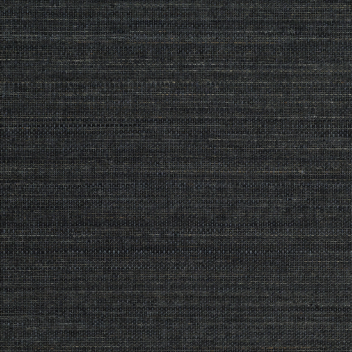 Purchase 1116 Tailored Walls Abaca Harvest Deep Silt Phillip Jeffries Wallpaper