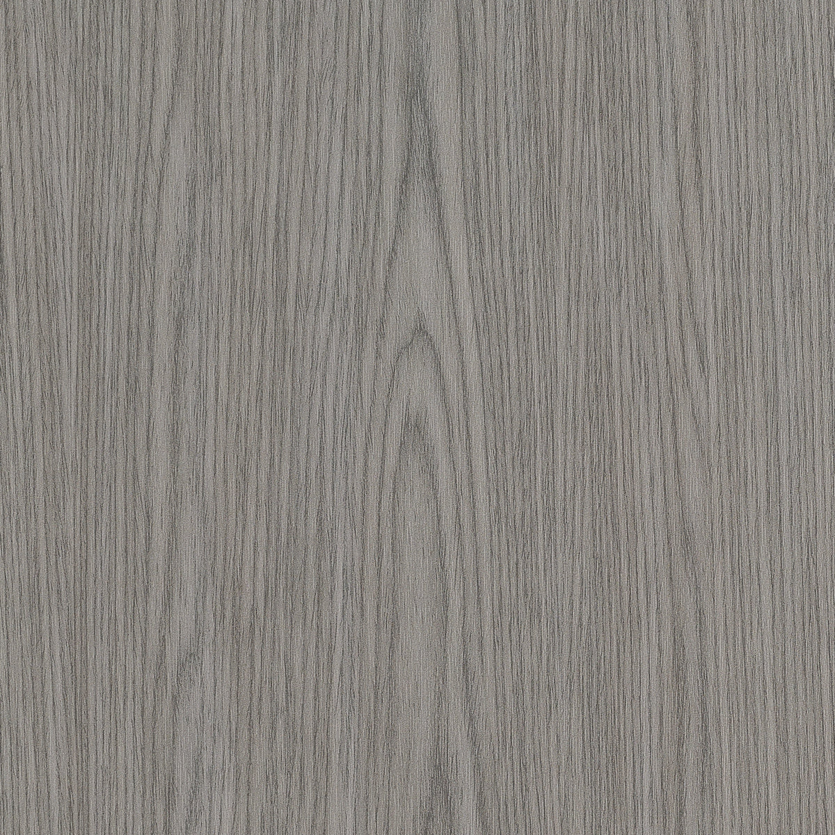 Purchase Phillip Jeffries Wallpaper - 29602, Vinyl Woodwork - Silver Birch 