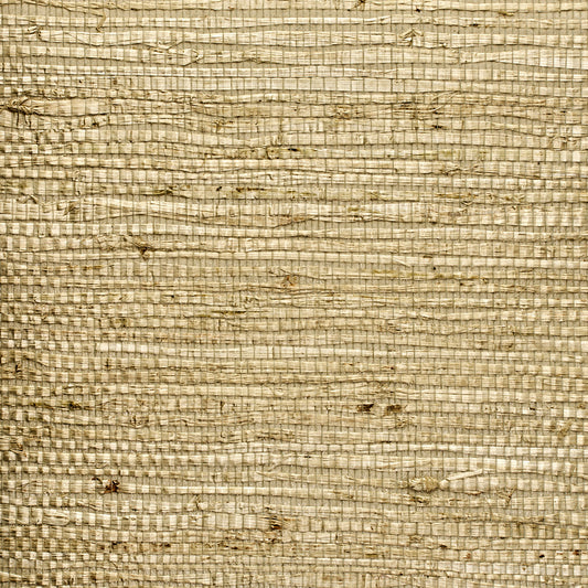 Purchase 3842 Extra Fine Arrowroot Serene Green Phillip Jeffries Wallpaper