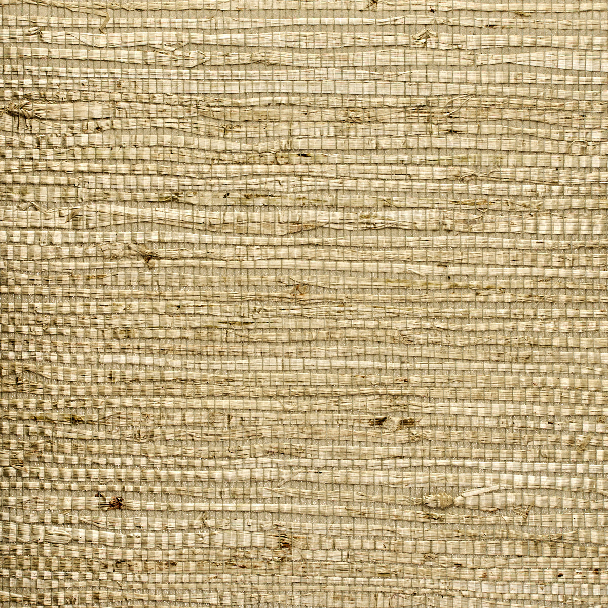 Purchase 3842 Extra Fine Arrowroot Serene Green Phillip Jeffries Wallpaper