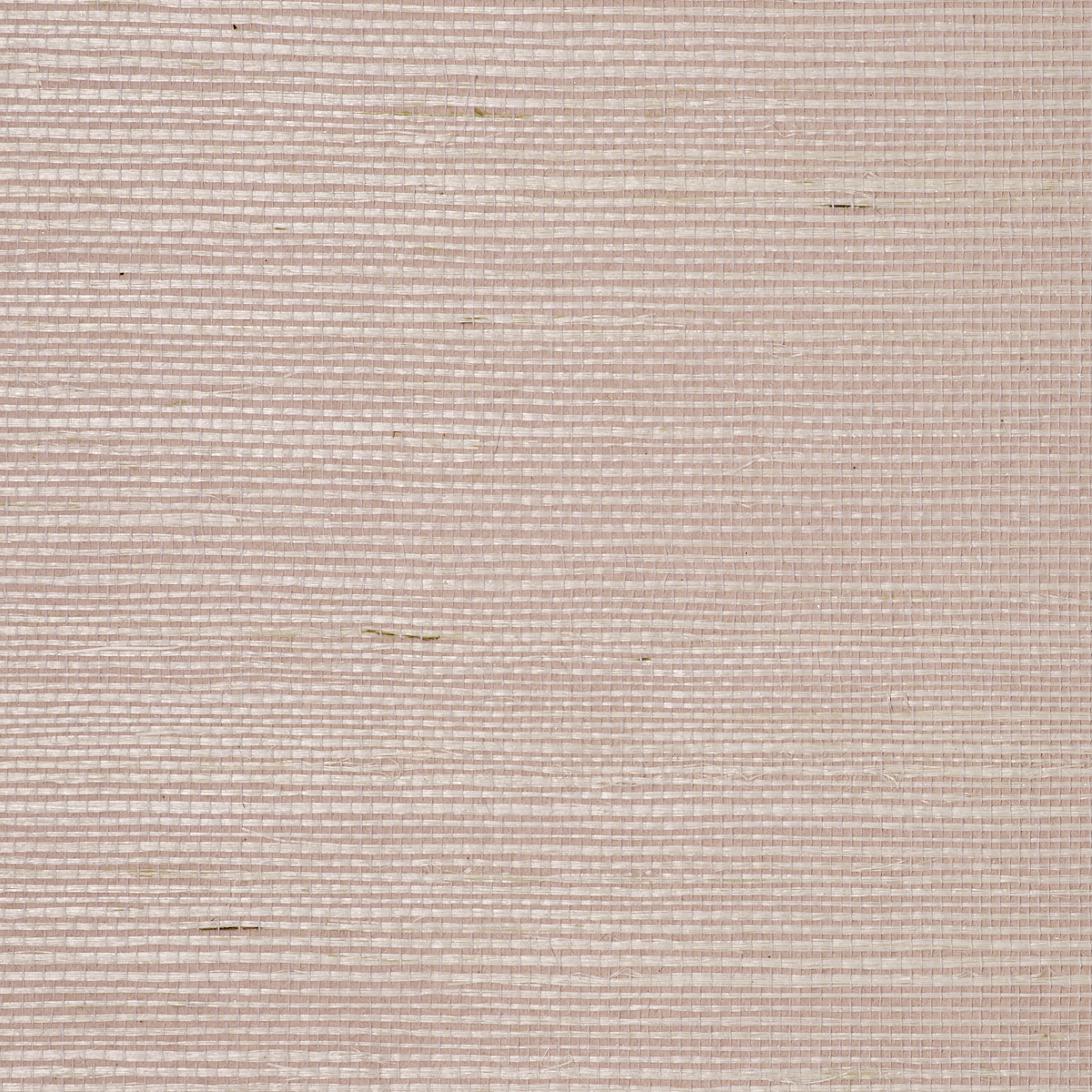 Purchase 5521 Bermuda Hemp II Dusted Pink Phillip Jeffries Wallpaper