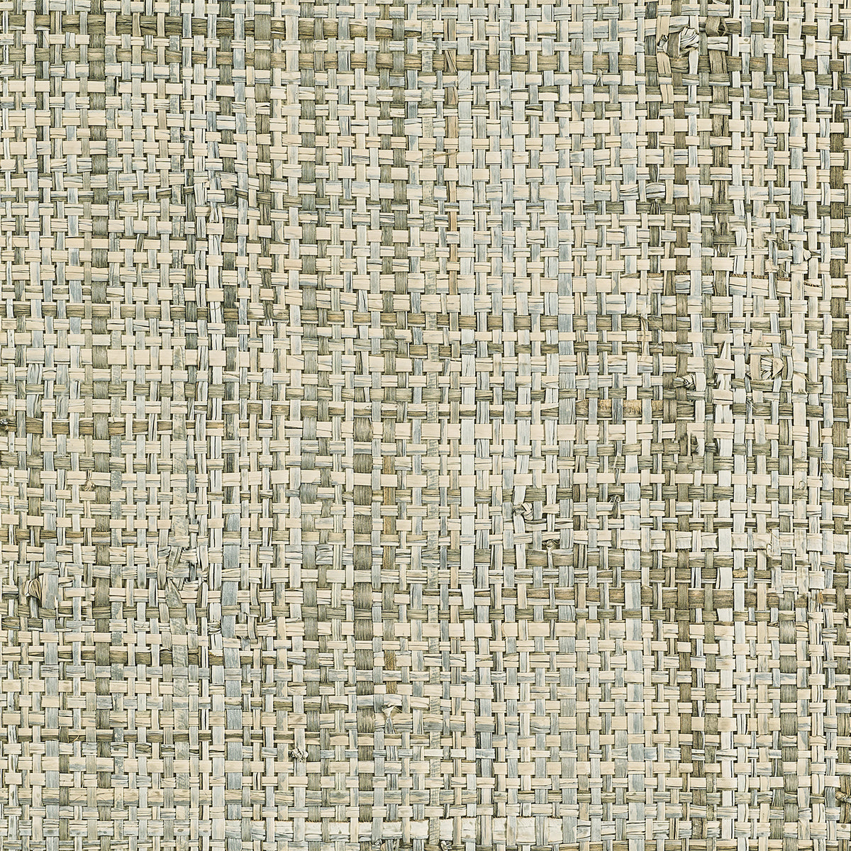 Purchase 5829 Island Raffia Sky Blue Phillip Jeffries Wallpaper